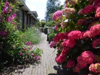 bed-and-breakfast-bloemenhoeve-2