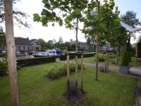 bed-and-breakfast-bloemenhoeve