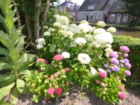 bed-and-breakfast-bloemenhoeve